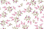 小碎花