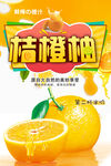 桔橙柚