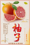 柚子