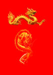 龙