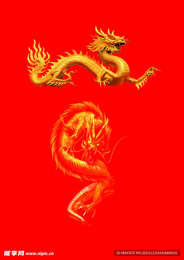 龙