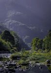 自然山野