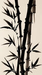 竹，水墨，中国画