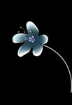小花