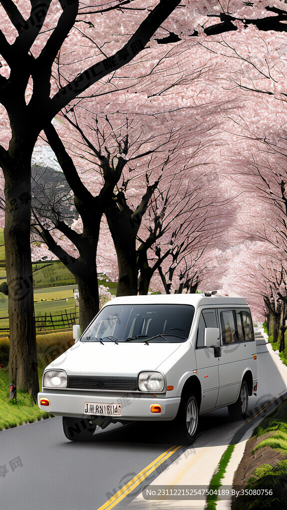 为乡村道路 名称为樱花大道