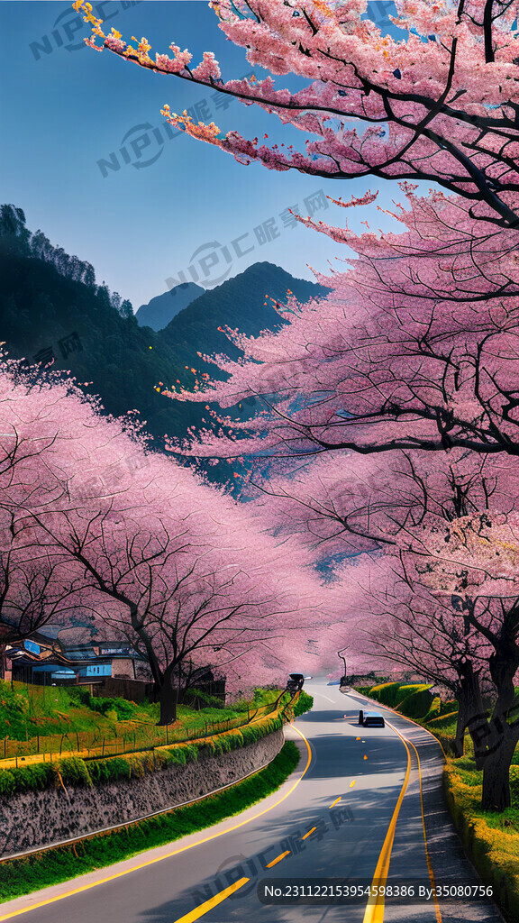 为乡村道路 名称为樱花大道