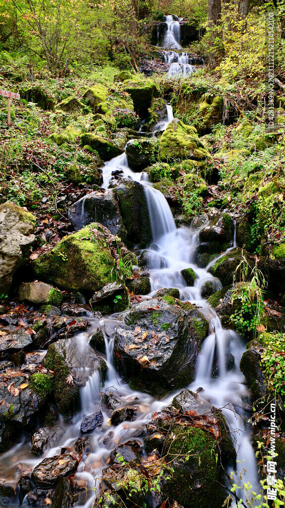 望天鹅自然风景区