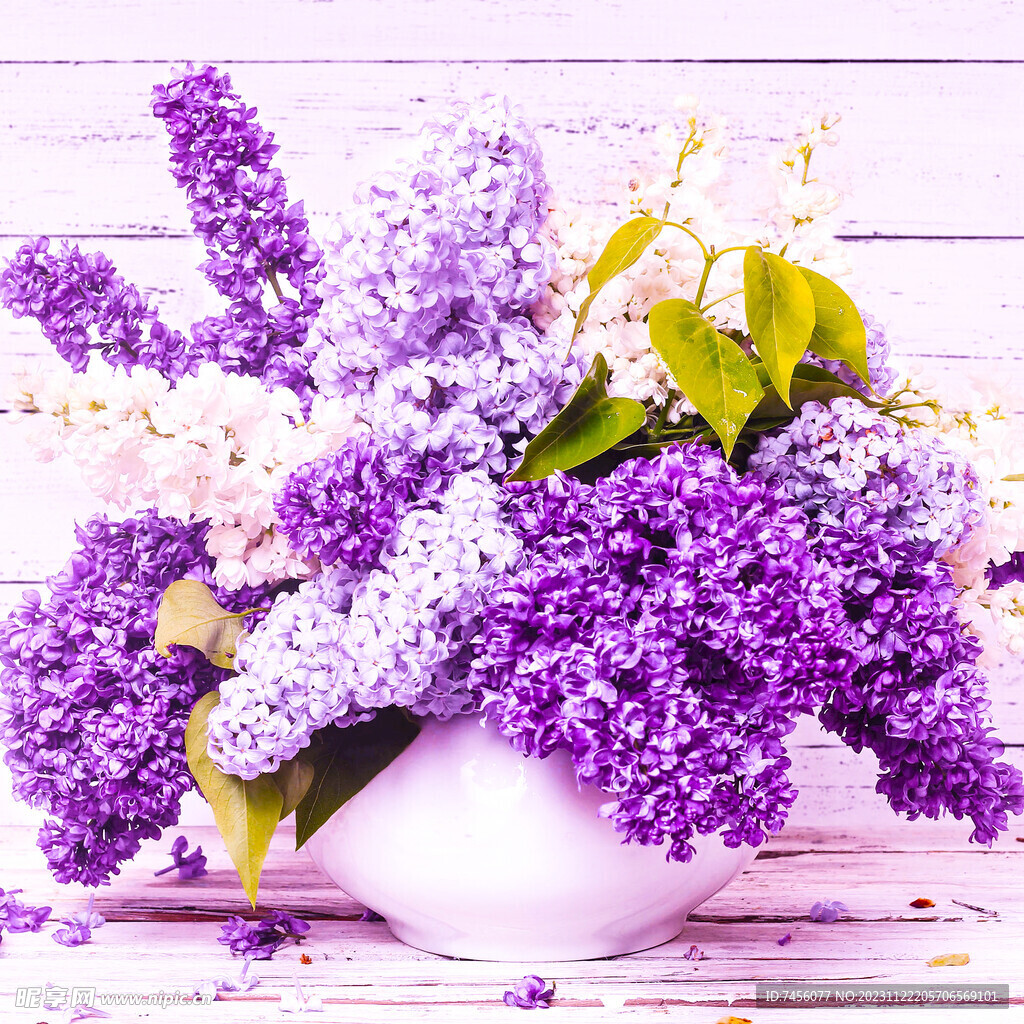 静物紫色花卉花瓶挂画装饰画