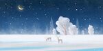 雪地