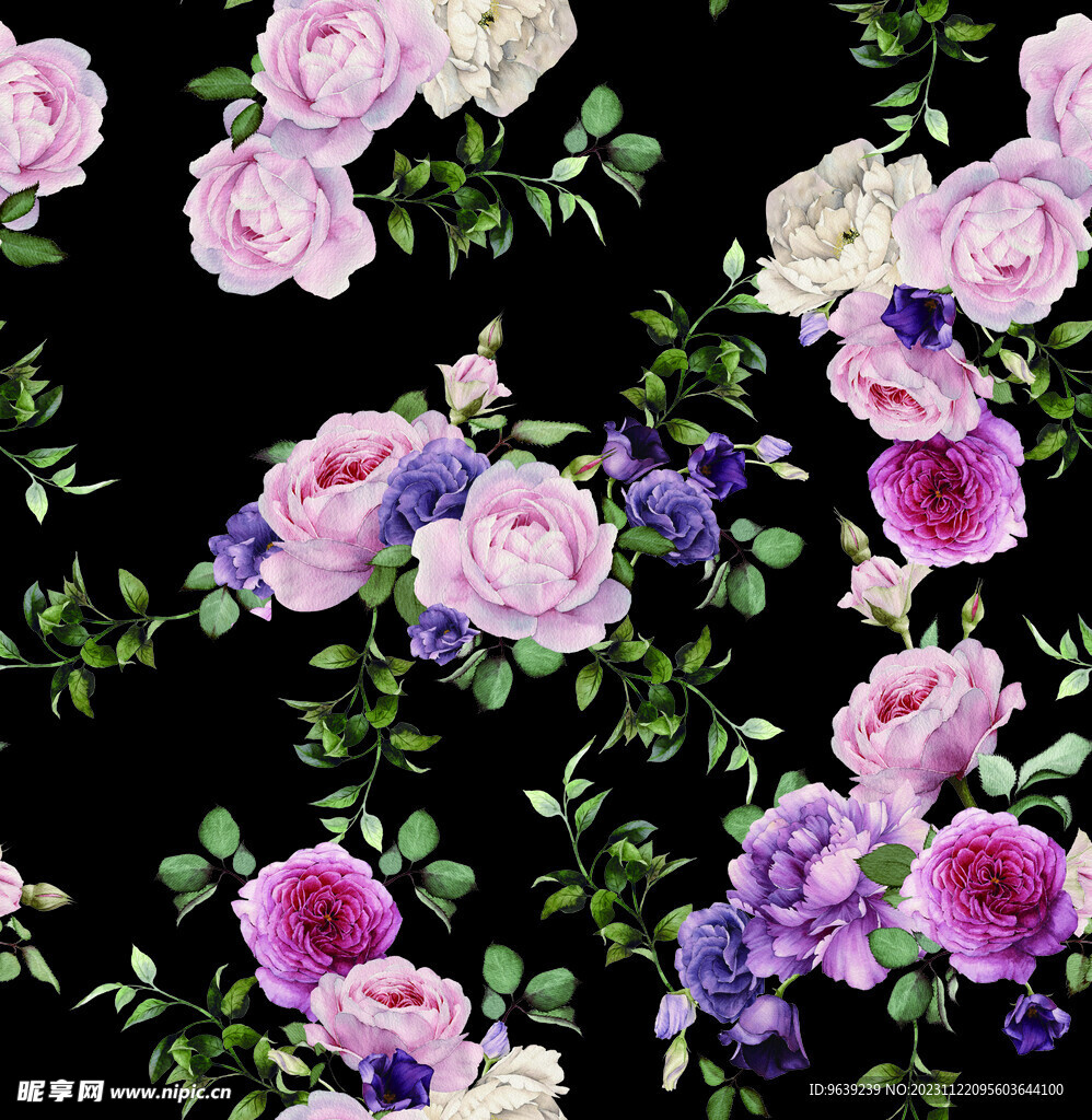 玫瑰牡丹