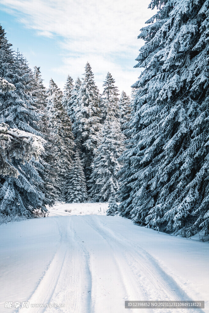 雪景