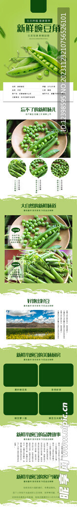 新鲜绿色蔬菜豆角豌豆角电商详情