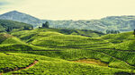 自然风光 山水风光 自然风景 