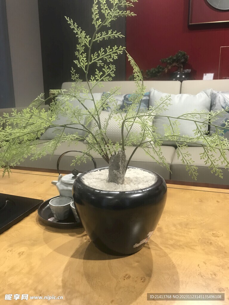 家居绿植摆件 