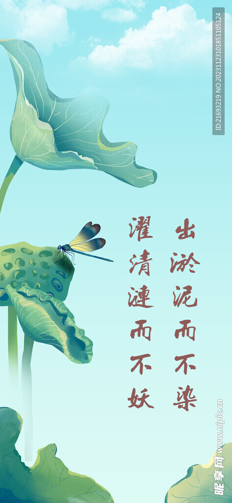 荷花