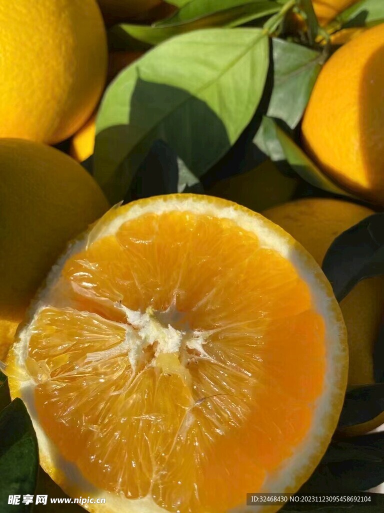 脐橙