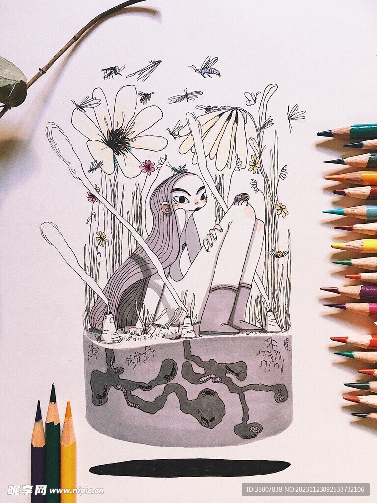 手绘插画