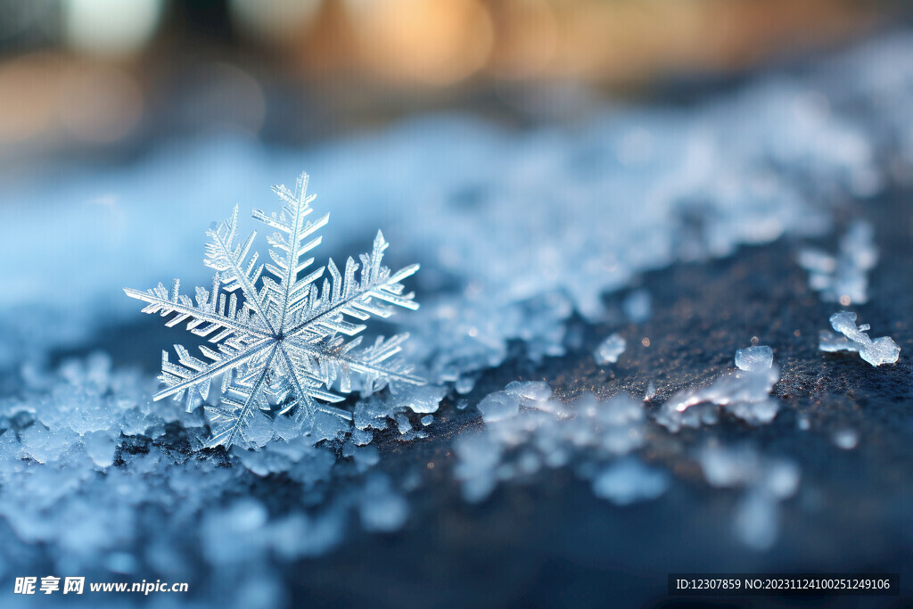 一片雪花