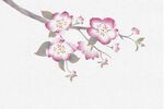 中国风桃花插画