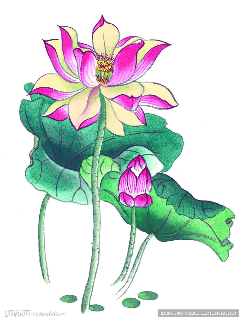 荷