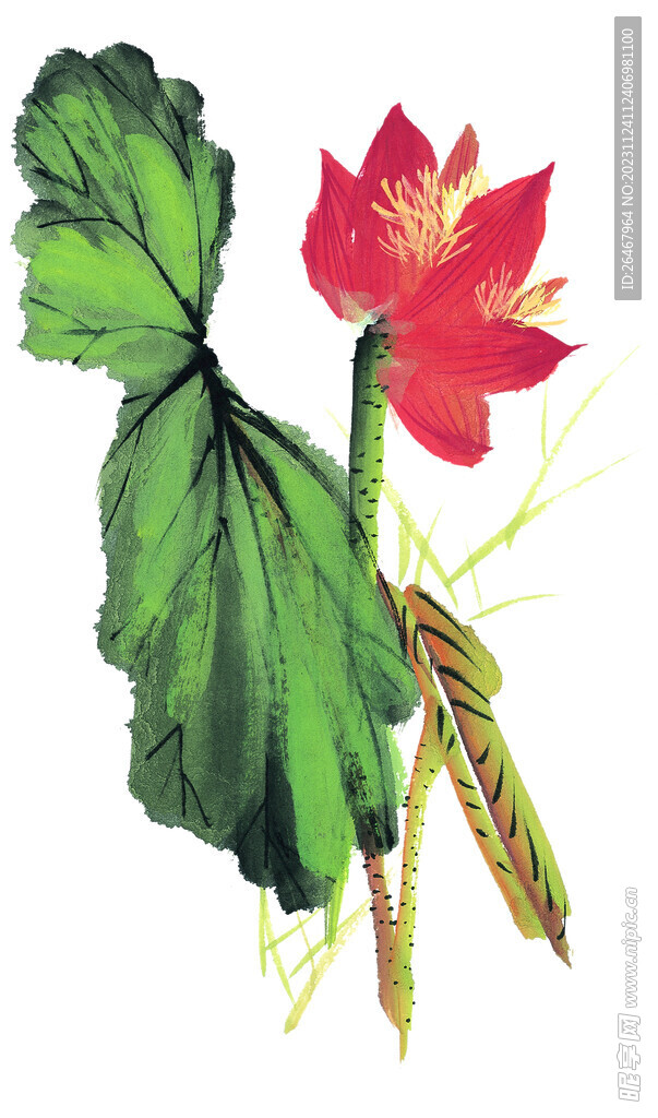 荷