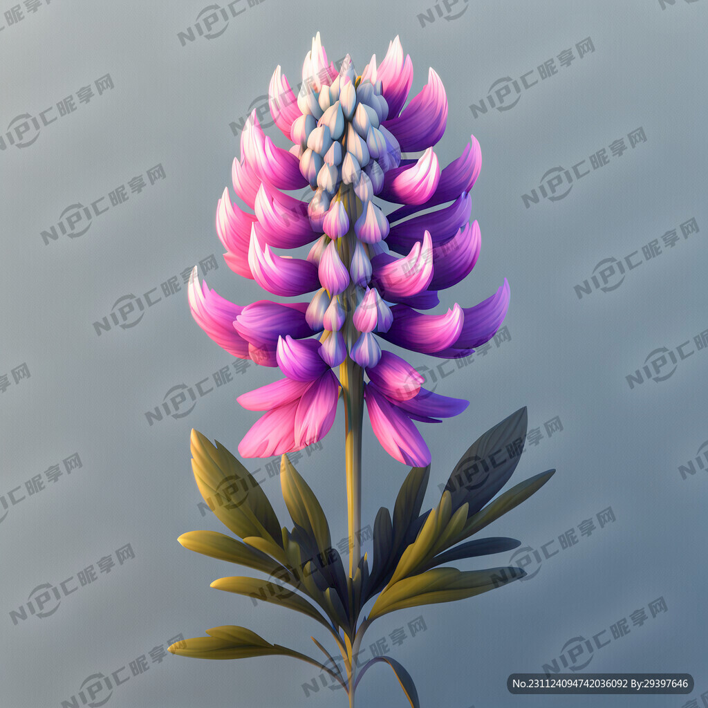 鲁冰花简单大气