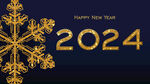 2024年