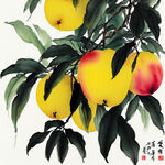 一幅水彩画，一组挂在树上，中间的黄桃被一分为二，内部的红核和黄肉，绿色的叶子，周围还有多个完整的黄桃，其中一些被桃叶遮挡住了