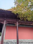 红墙
