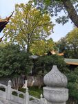 朝天宫  