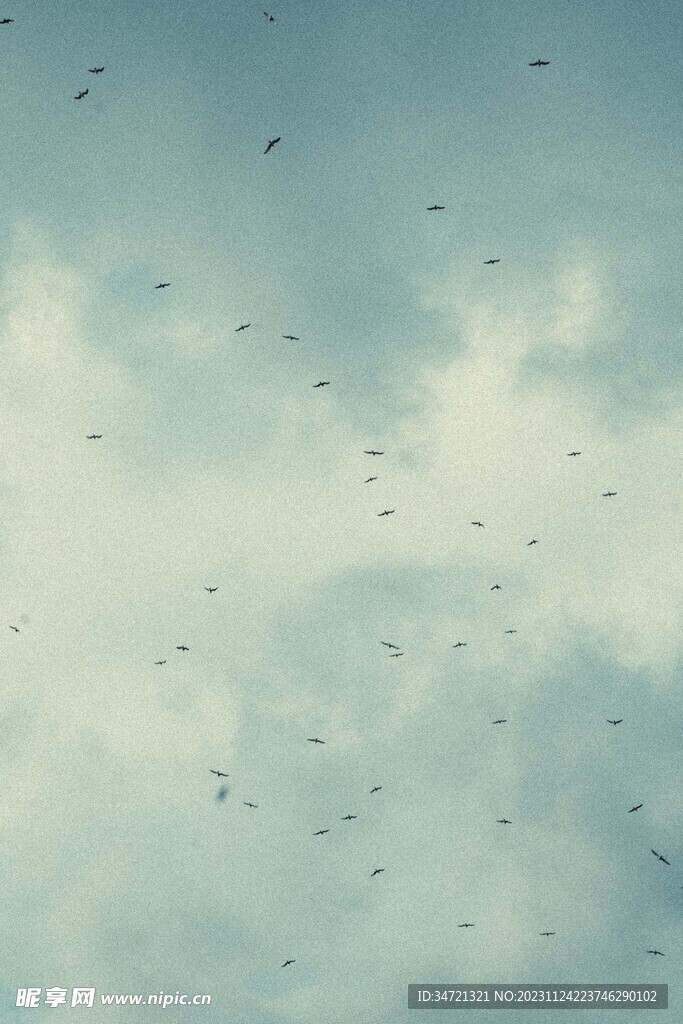 天空翱翔