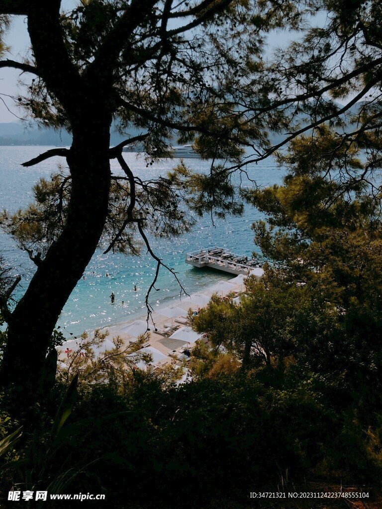 森林与大海