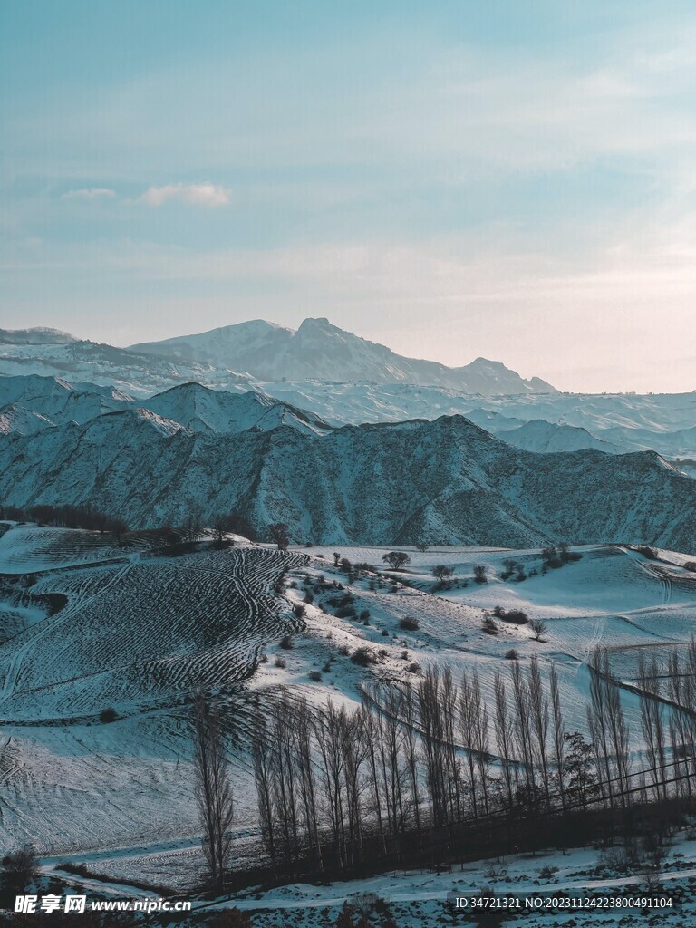 漫山遍野的雪