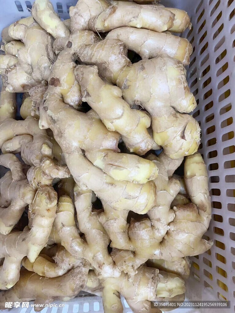生姜