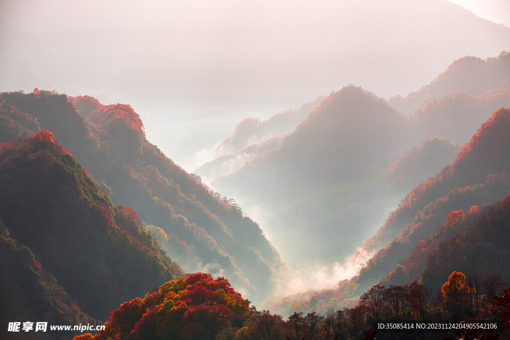 巴山秋韵