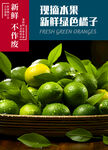 柠檬 青桔子 橘子