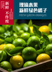 橘子 青柠檬