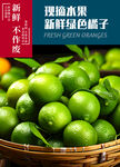 青柠檬  橘子 桔子