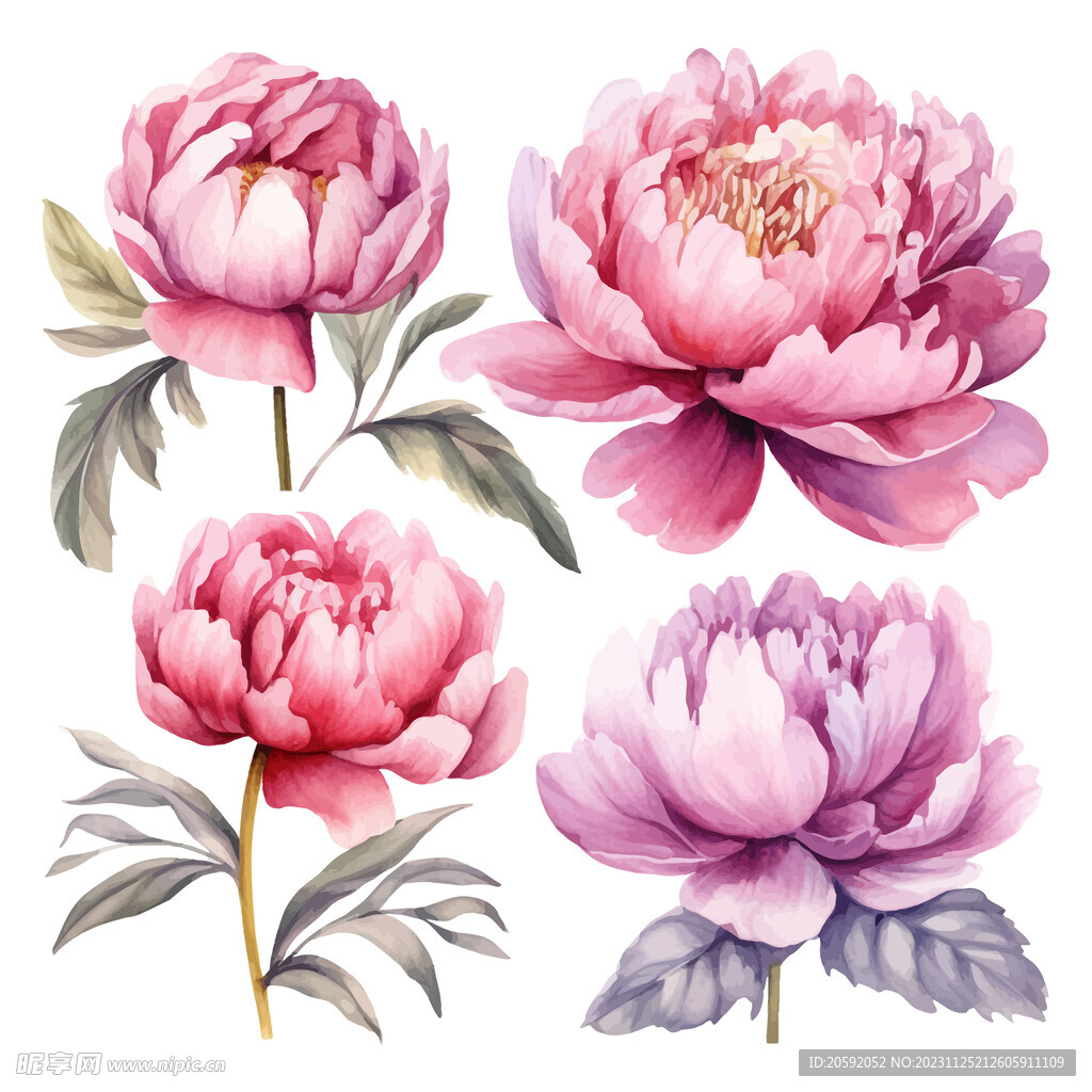 花纹 