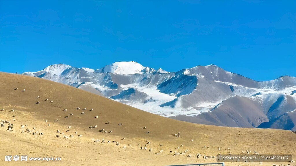 大雪山