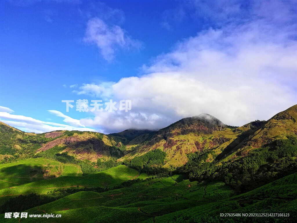 蓝天白云青草地