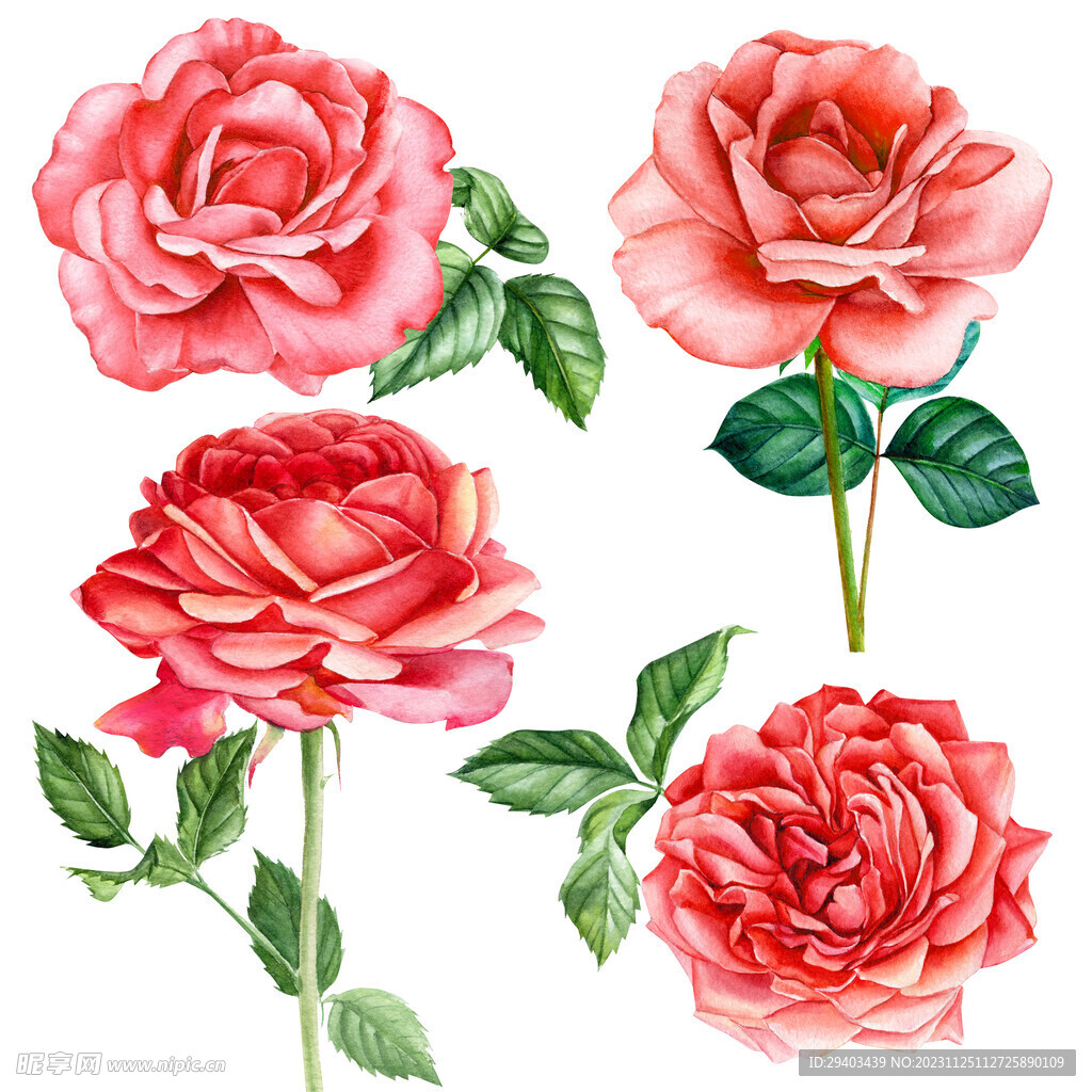 手绘花