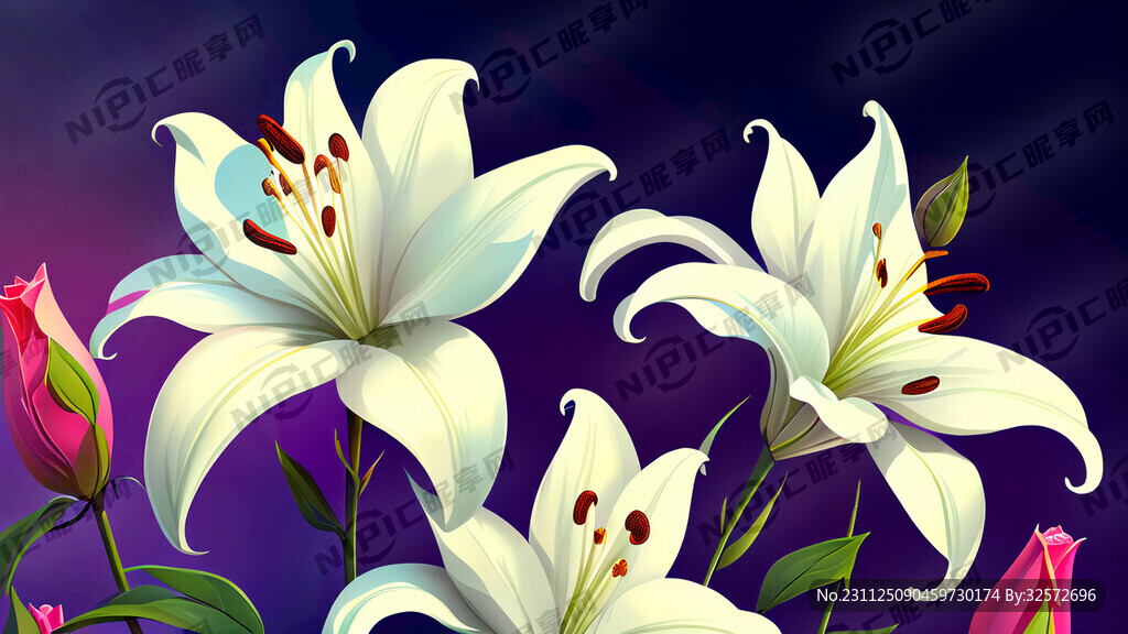 玫瑰 白百合 花圃 鲜艳 高清