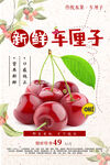 新鲜车厘子