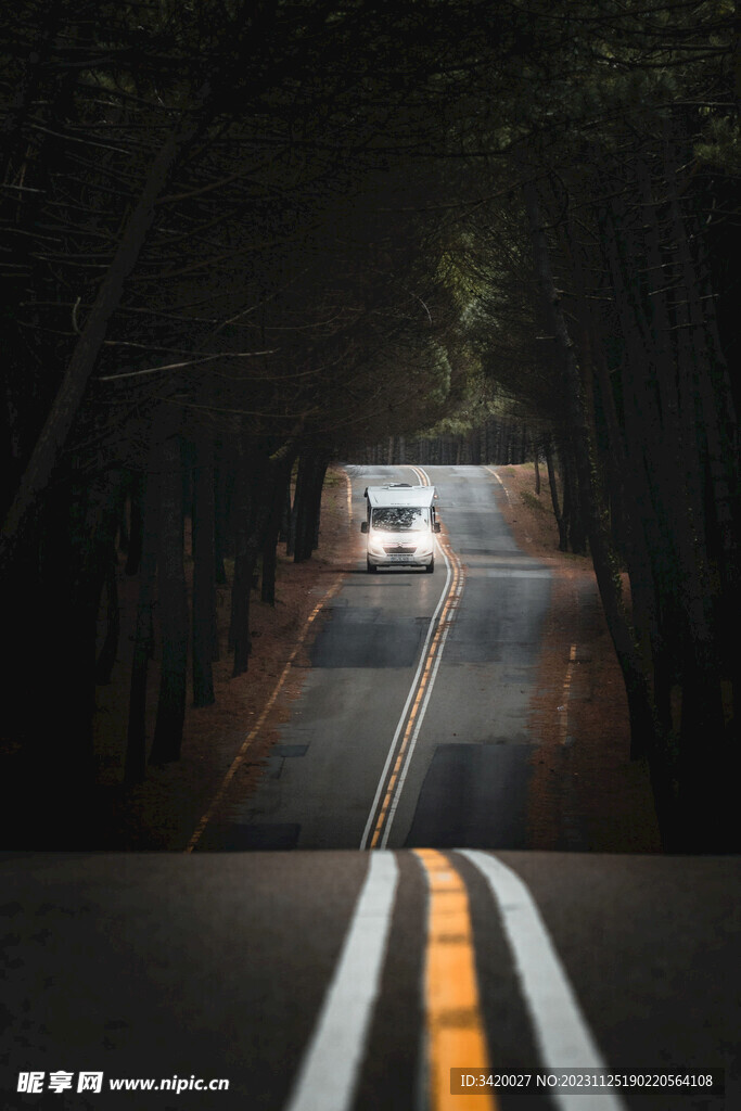 绿荫大道