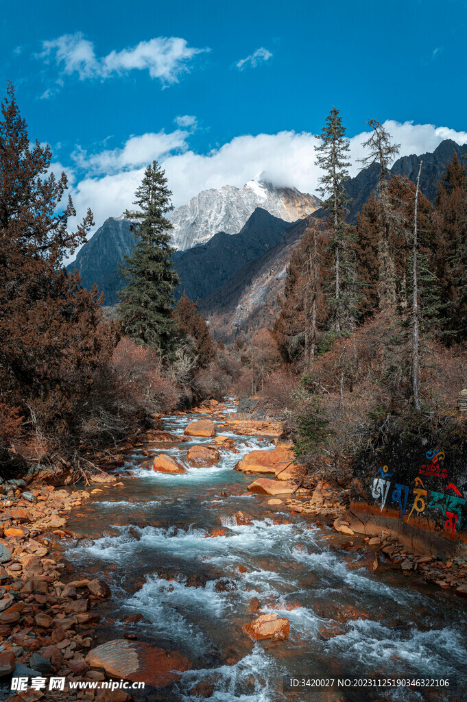 四姑娘山
