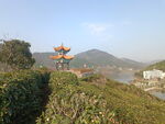 茶叶公园