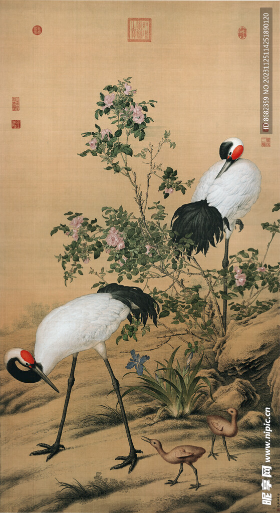 清 郎世宁 花阴双鹤