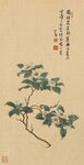 清 溥儒 花卉图