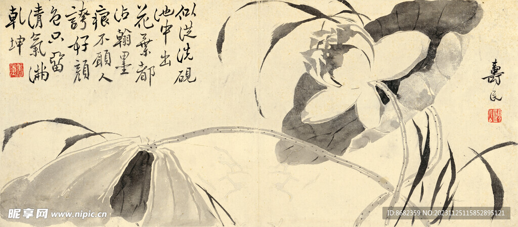 清 边寿民 杂画 莲花